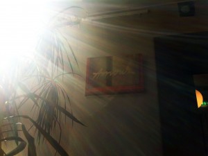 Ketola_kuva_Amour_IMG_4717(1)