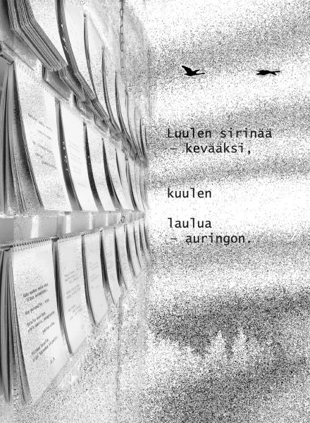 outi_latvala_kirjak_0516_kuva